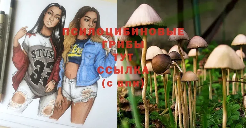 Галлюциногенные грибы Magic Shrooms  Бийск 